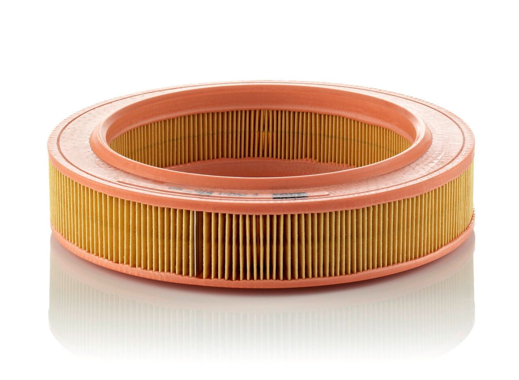 Mann Filter C 2552/1