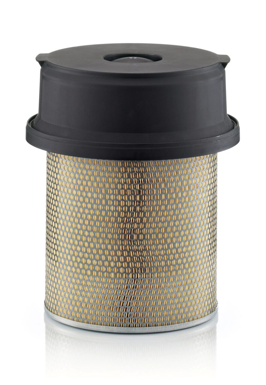 Mann Filter C 29 1219/1