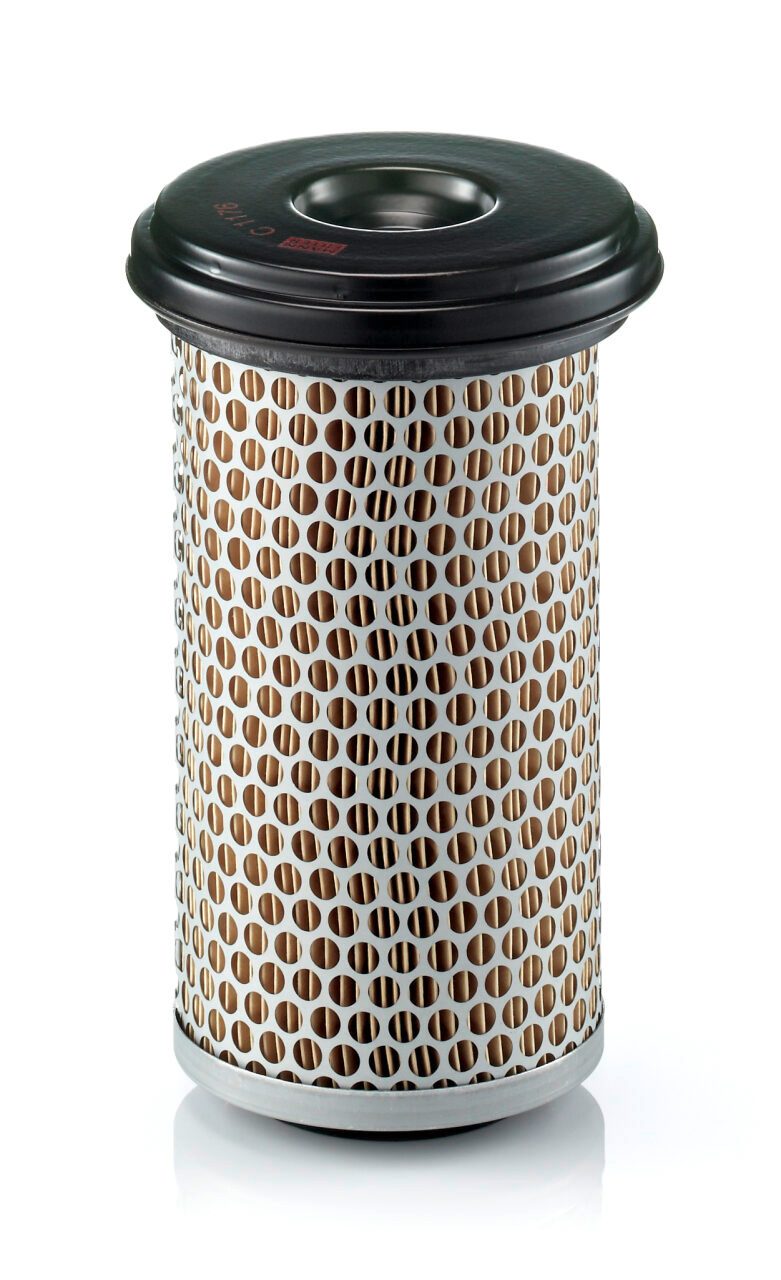 Mann Filter C 1176